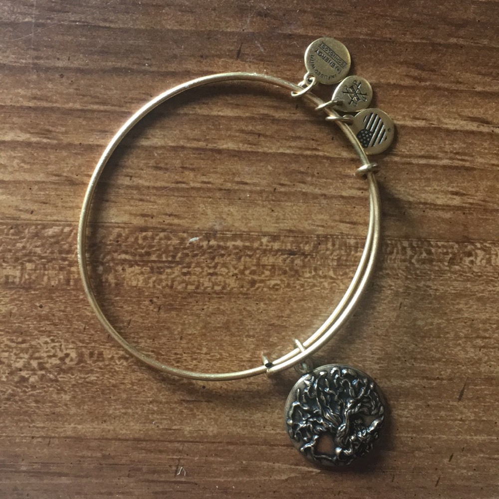Alex and Ani Tree of Life Bracelet